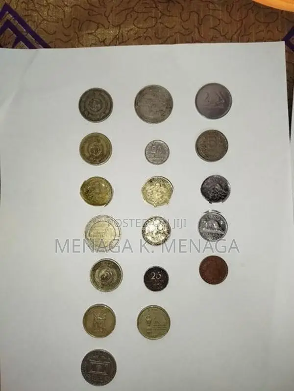 Ceylon Coin