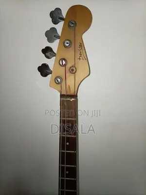 Bass guitar