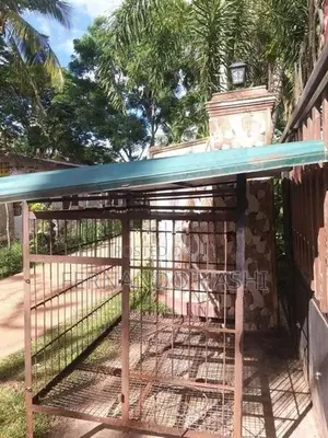 dog cage