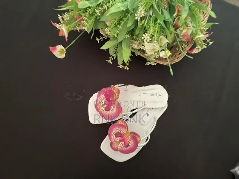orchid's slippers