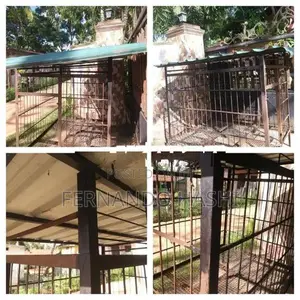 dog cage