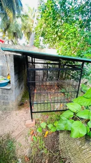 dog cage