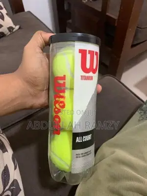 Wilson Cricket Balls