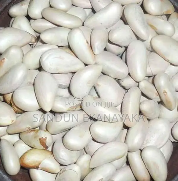 කොස් ඇට ( Jackfruit Seeds )