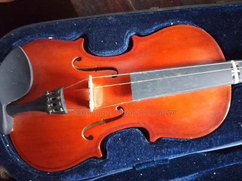Violin