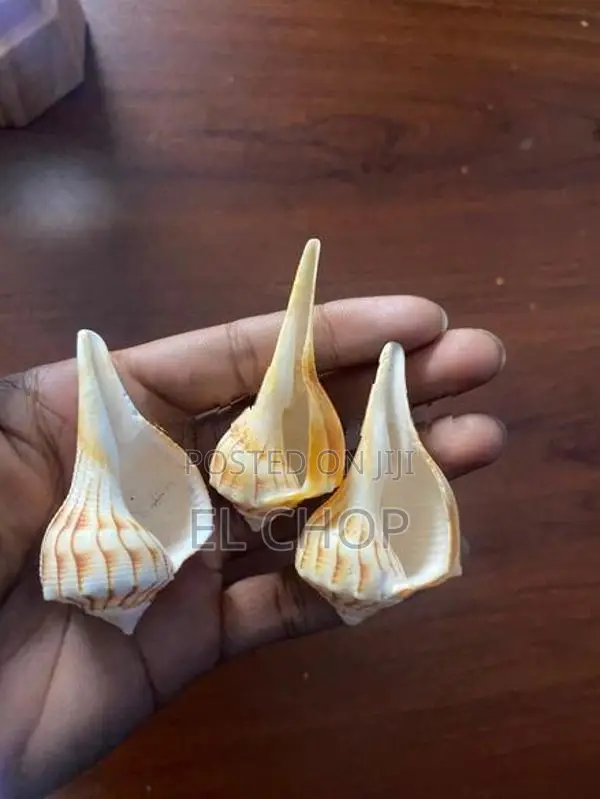 Walampuri