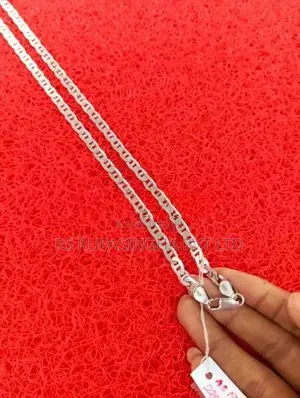 Silver Chain 22.7 G