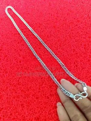 Silver Chain 24.9g