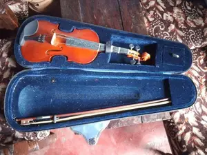 Violin