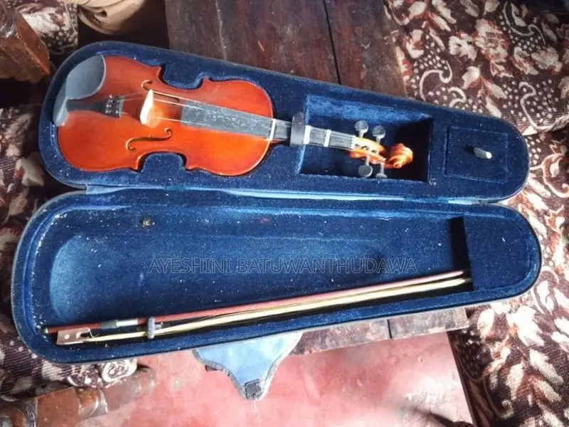 Violin