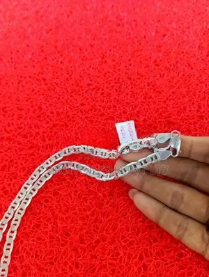 Silver Chain 22.7 G