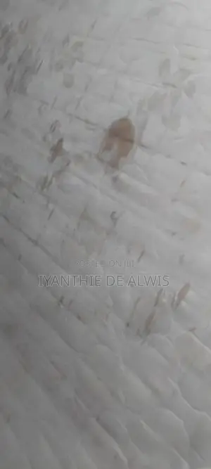 Mattress
