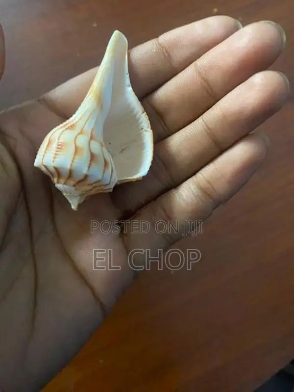 Walampuri