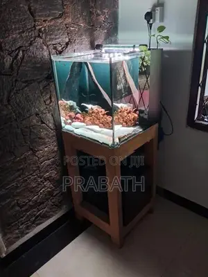 1.5 Feet Cube Fish Tank Full Set