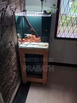 1.5 Feet Cube Fish Tank Full Set
