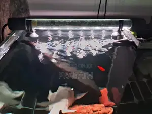 1.5 Feet Cube Fish Tank Full Set