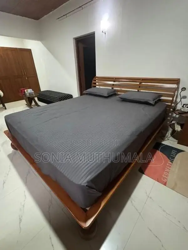 Spring Air Mattress