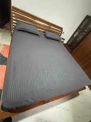 Spring Air Mattress