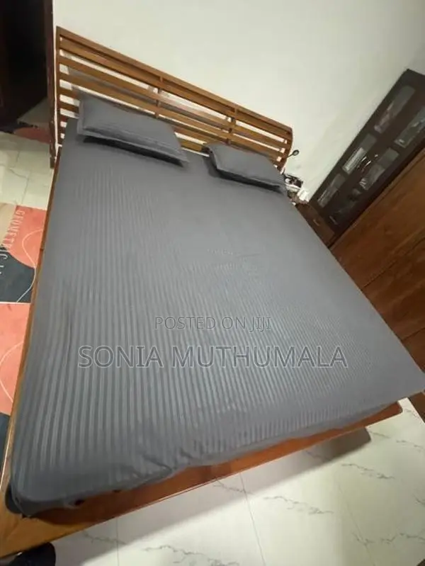 Spring Air Mattress