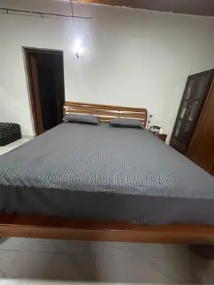 Spring Air Mattress