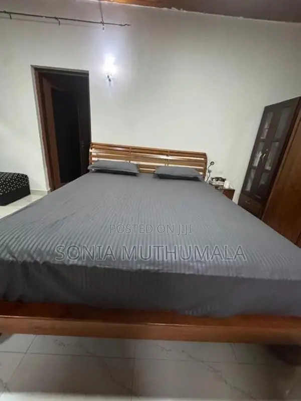 Spring Air Mattress