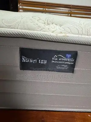 Spring Air Mattress