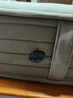 Spring Air Mattress