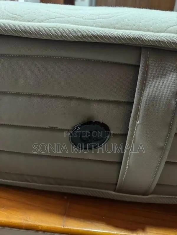 Spring Air Mattress