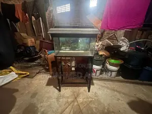 Fish Tank