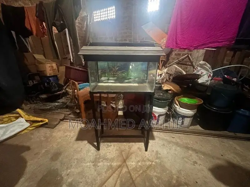 Fish Tank