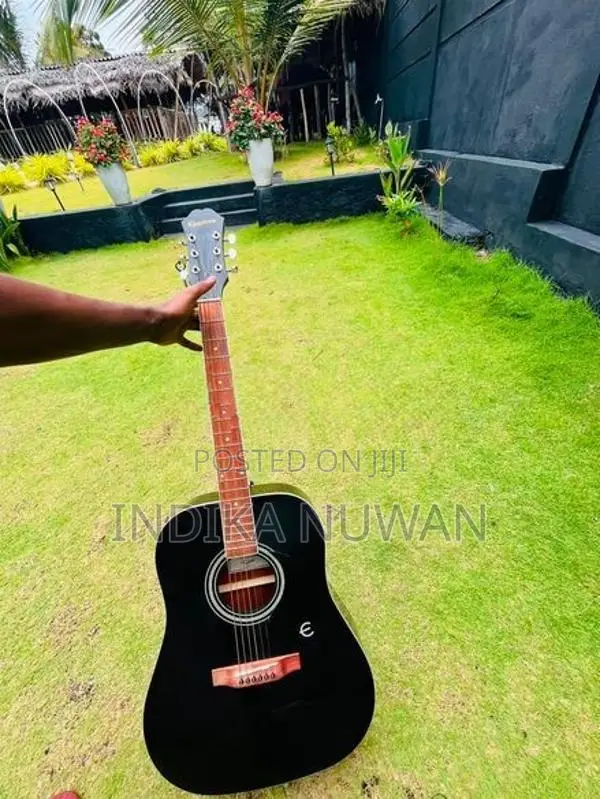 Guitar