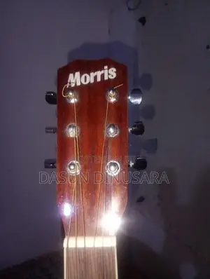 Morris 41 Box Guitar