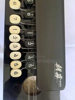 Japan Mandolin