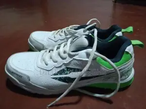 DSC Cricket Shoes