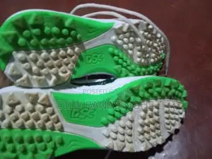 DSC Cricket Shoes
