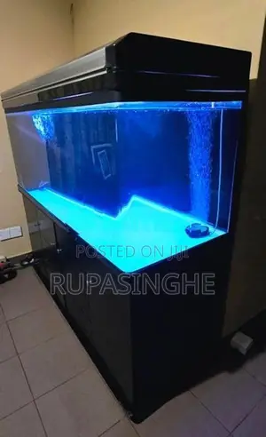 Boyu 5 Ft Aquarium