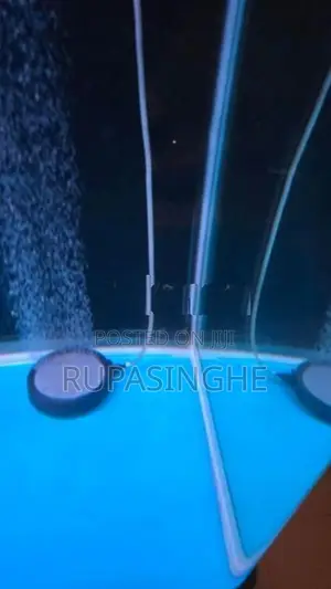 Boyu 5 Ft Aquarium