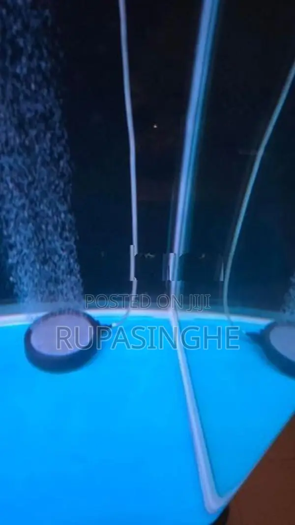 Boyu 5 Ft Aquarium
