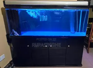 Boyu 5 Ft Aquarium