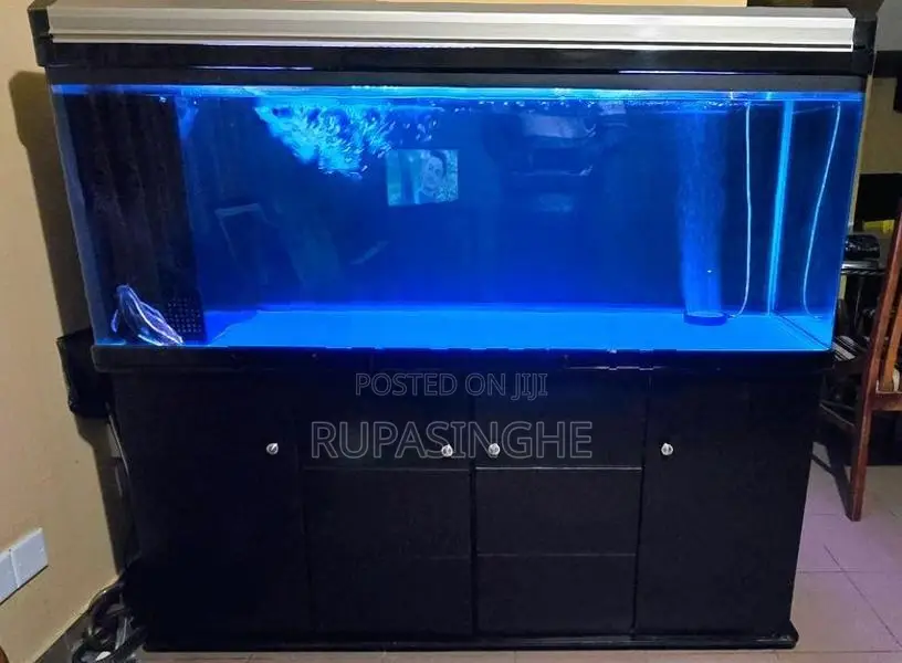Boyu 5 Ft Aquarium