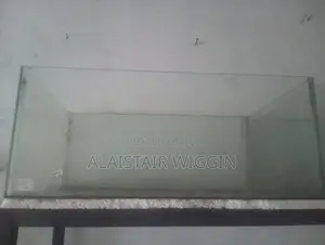 Fish Tank