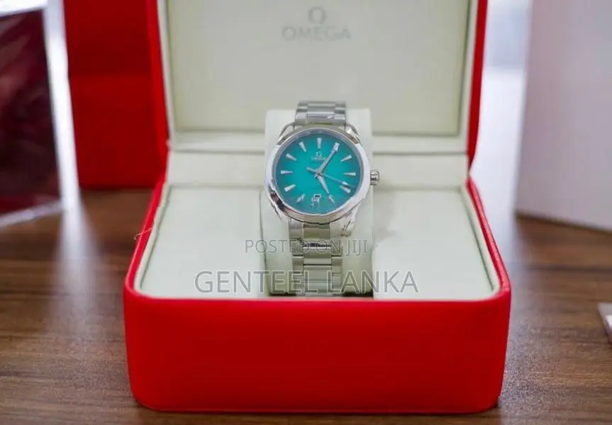 Omega Seamaster Aqua Terra Watch