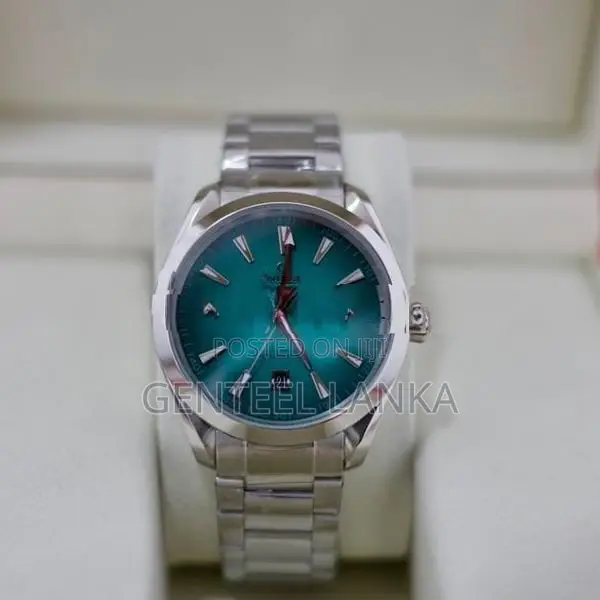 Omega Seamaster Aqua Terra Watch