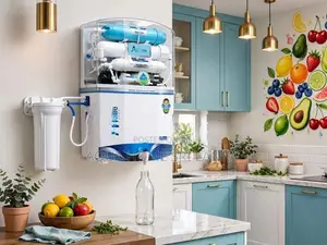 Aqualife Domestic Ro Water Filter