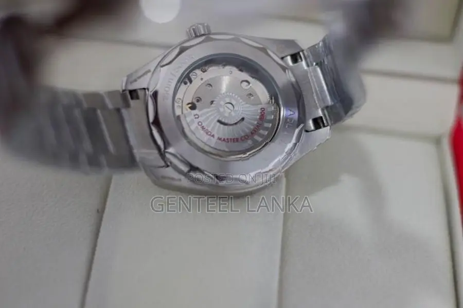 Omega Seamaster Aqua Terra Watch