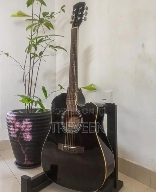 Fanatic Guitar