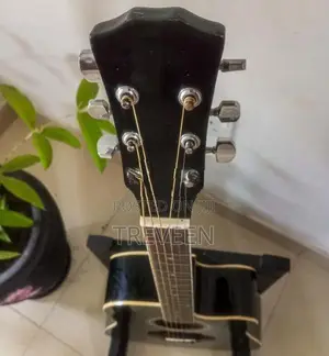 Fanatic Guitar