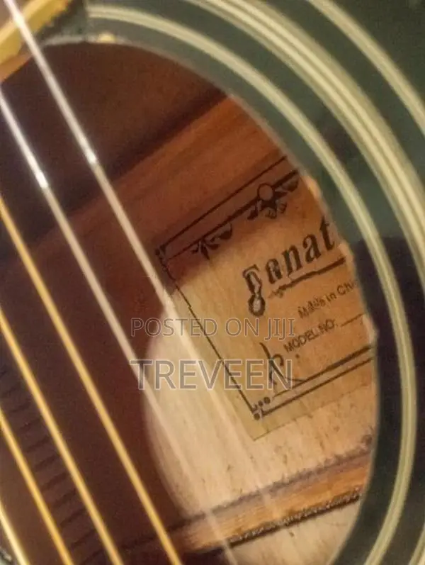 Fanatic Guitar