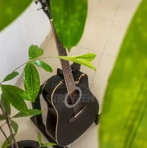 Fanatic Guitar