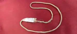 Silver Chain